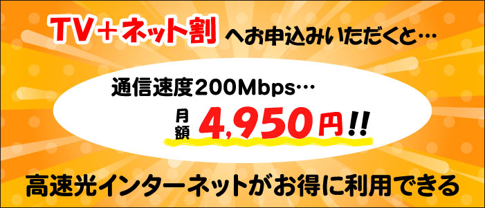 TV+ネット割