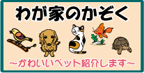 わがやの家族