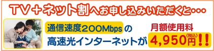 テレビ＋ネット割